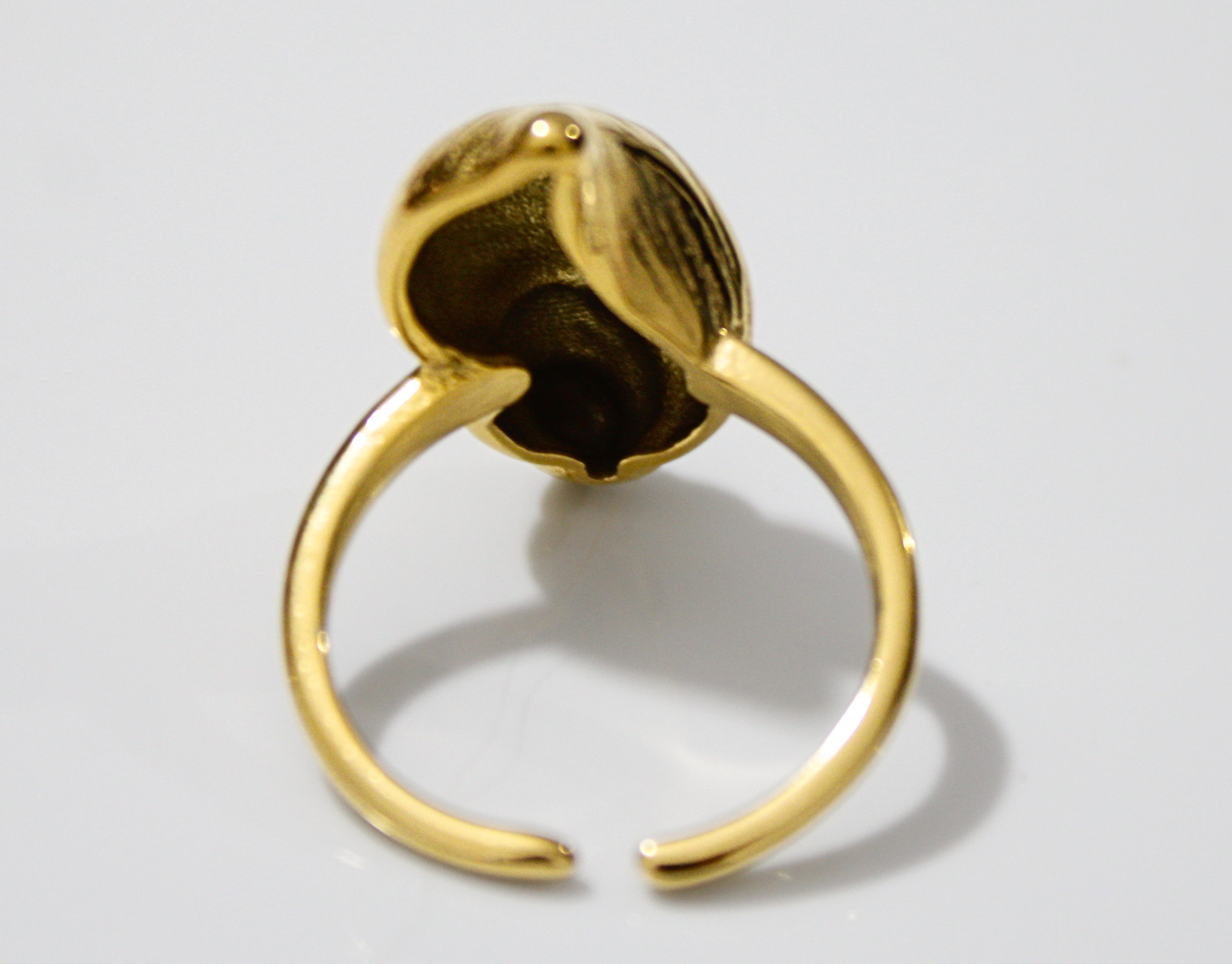 Anillo Spira