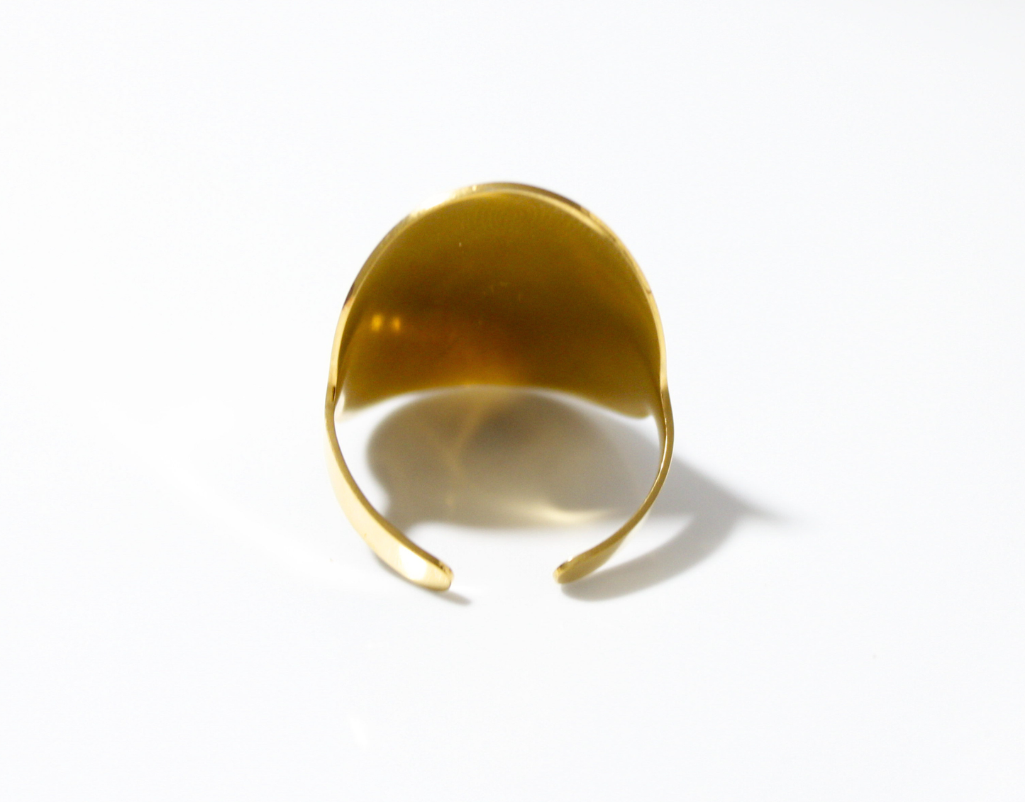 Anillo Luz
