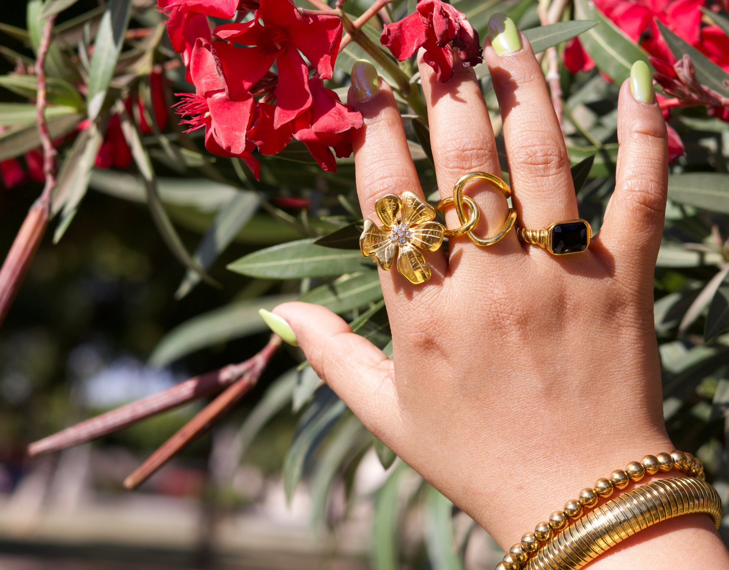Anillo Ali