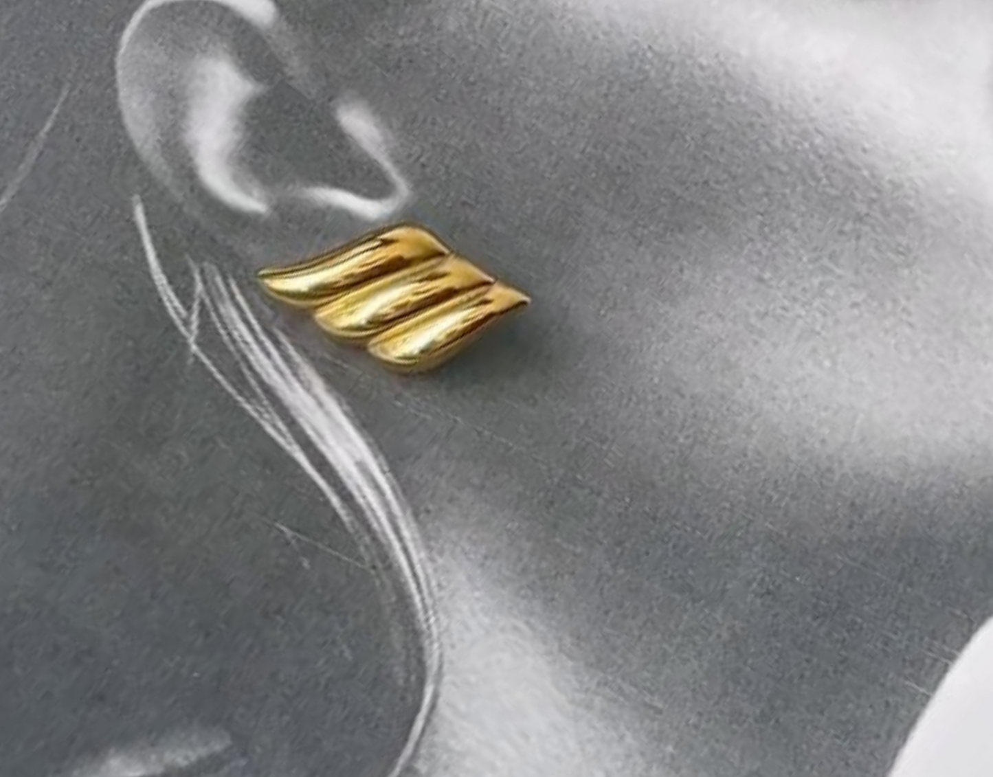 Aretes Lévana