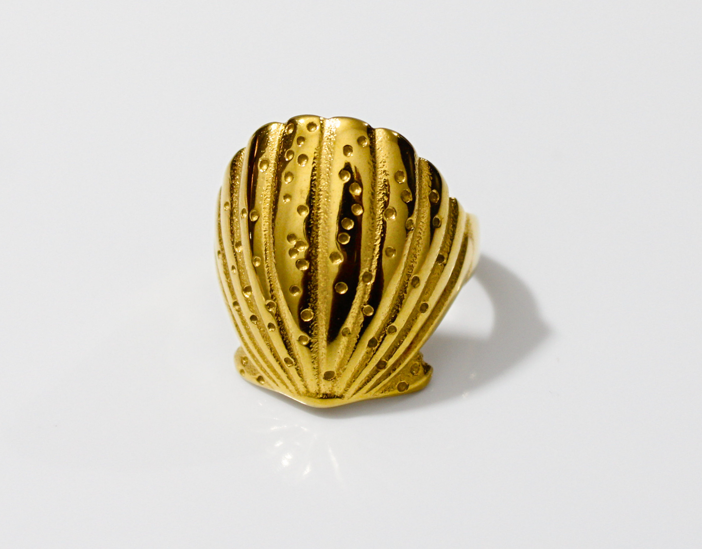 Anillo Concha