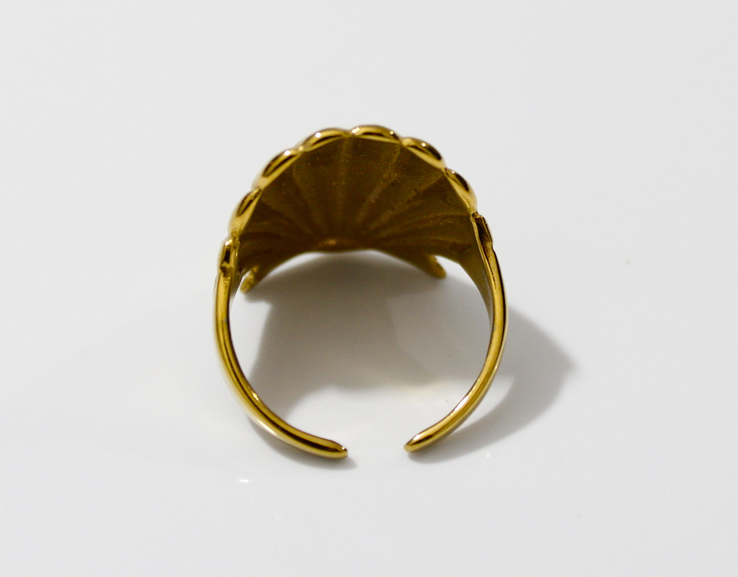 Anillo Concha