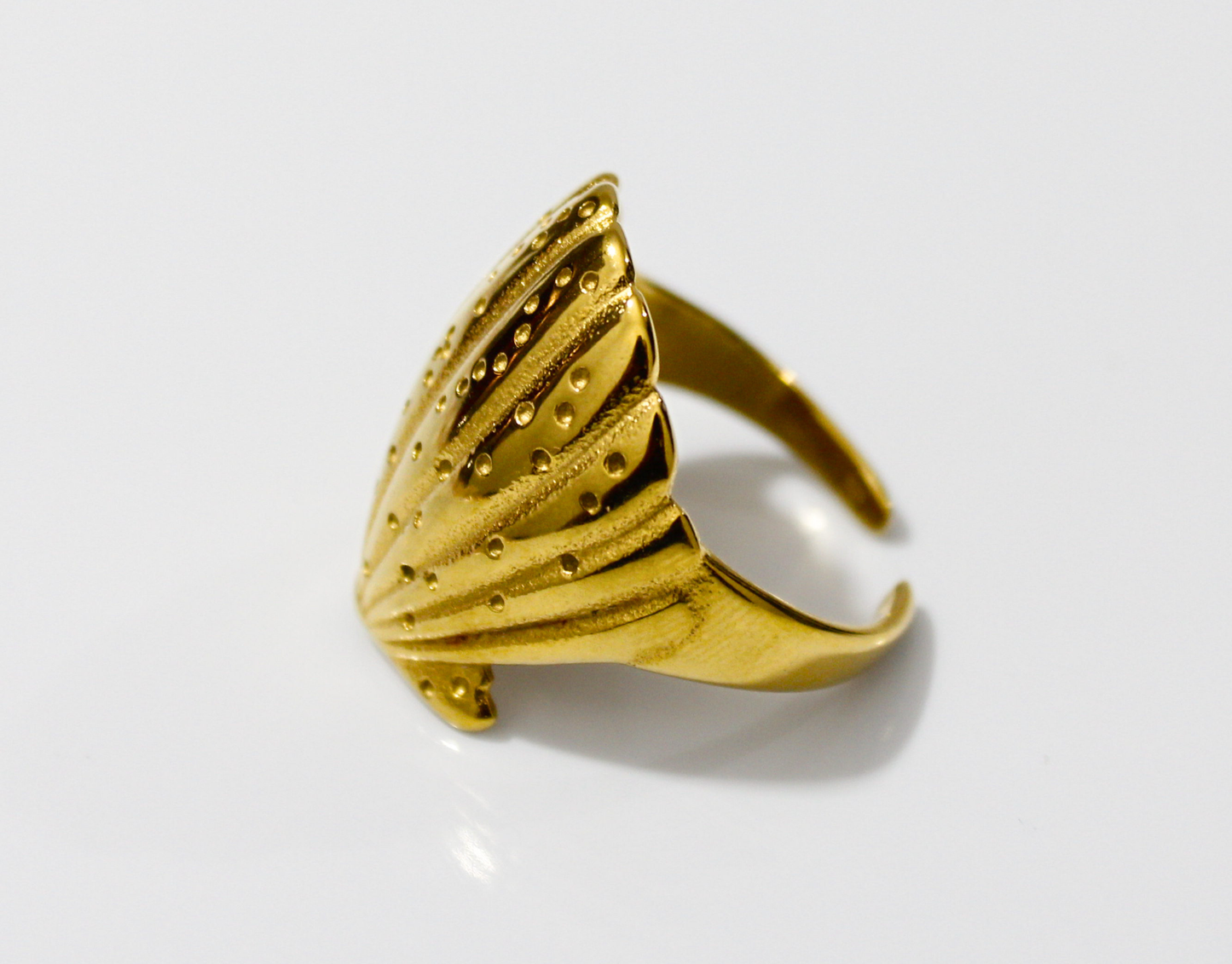 Anillo Concha