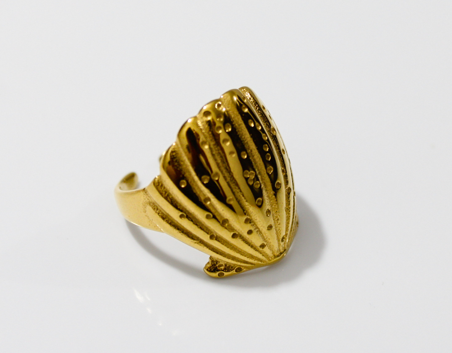 Anillo Concha
