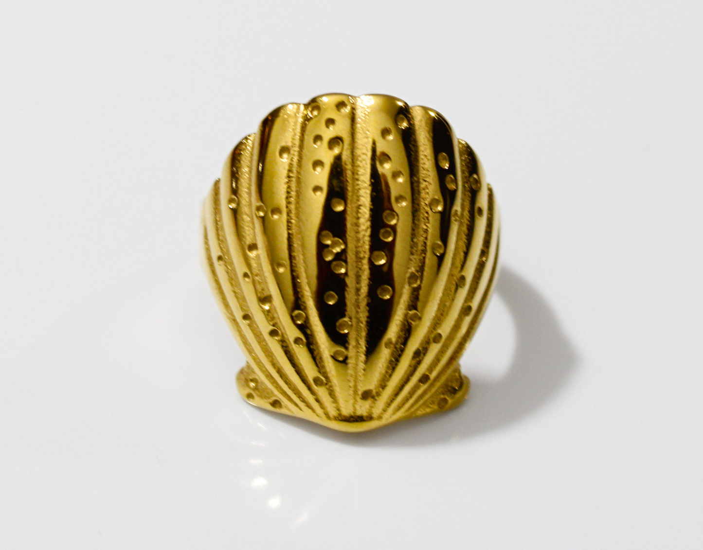 Anillo Concha
