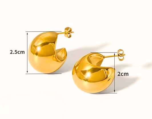 Aretes Gina